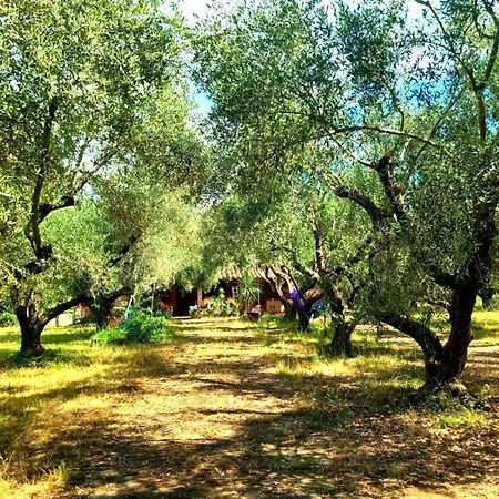 All'ombra Degli Olivi בית נופש *
