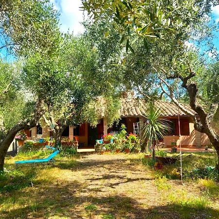 All'ombra Degli Olivi *