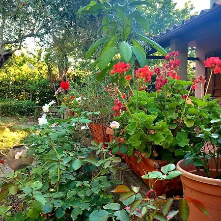 בית נופש All'ombra Degli Olivi *